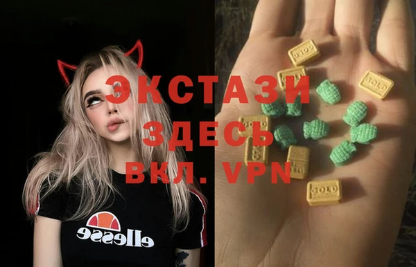 стафф Россошь